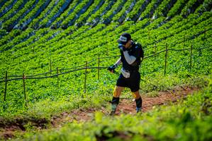 BIB: 
                            <button type="button" onclick="openModal(19162453)" class="btn btn-primary btn-sm float-right btn-popup" data-toggle="modal" data-target=".modal-high-quality">
                        <i class="fas fa-shopping-cart"></i> Add to Cart
                    </button>
                                            <button type="button" onclick="isThisMe(19162453, true)" class="btn btn-success btn-sm float-right btn-popup btn-isme hidden" data-toggle="tooltip" data-placement="bottom" title="นี่คือรูปของคุณใช่ไหม คลิกที่นี่เพื่อเอาเข้าอัลบั้ม">
                        <i class="fas fa-plus"></i> Add to album
                    </button>
                    <button type="button" onclick="isThisMe(19162453, false)" class="btn btn-warning btn-sm float-right btn-popup btn-isnotme hidden">
                        <i class="fas fa-ban"></i> Remove from album
                    </button>